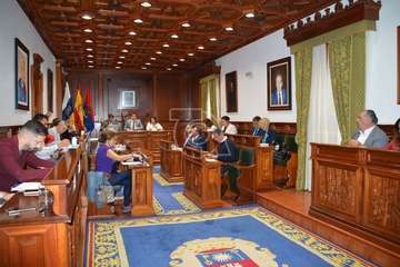 Pleno ordinario de febrero de 2020 (Foto TA)